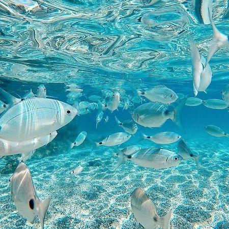 Апартаменти El Playaiso De Aguamarga Агуа-Амарга Екстер'єр фото