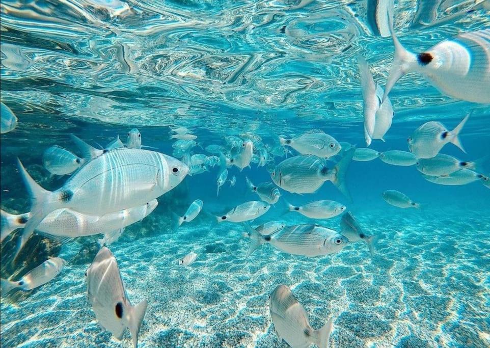 Апартаменти El Playaiso De Aguamarga Агуа-Амарга Екстер'єр фото